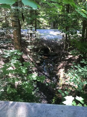 Friends of Negwegon State Park by null