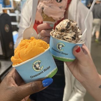 Crescent Ridge - A few different ice cream flavors! - Ice Cream & Frozen Yogurt Near Me - Boston, Massachusetts Crescent Ridge - A few different ice cream flavors! - Ice Cream & Frozen Yogurt Near Me - Boston, Massachusetts