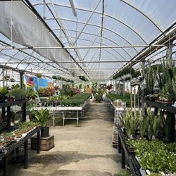 Greenhouse
