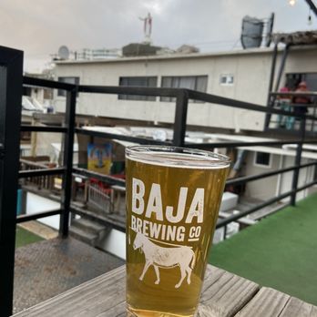 Sin Fronteras Brewing - #8 Extra Pale ale. Really good. - Breweries Near Me - Ensenada, BCN