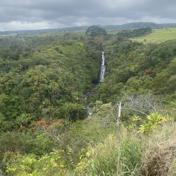Botanical World Adventures - Botanical Gardens Near Me - Hakalau, Hawaii