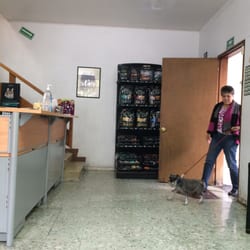 Servicios Veterinarios Darwin