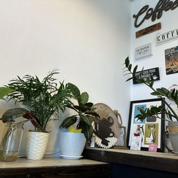 Zoom Coffee Roasters - Coffee Roasteries Near Me - Suwanee, Georgia
