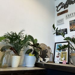 Zoom Coffee Roasters