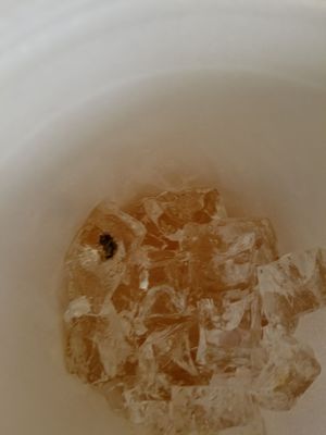 Qs Restaurant by null