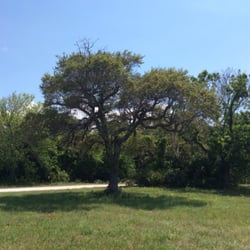 Douglas Dummett Grove