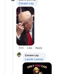Nick Sadek Sotheby's International Realty - Classless trump supporter