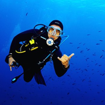 The Q Divers - Owner, Dive Master & Guide Victor V Ramos - Scuba Diving Near Me - San Diego, California The Q Divers - Owner, Dive Master & Guide Victor V Ramos - Scuba Diving Near Me - San Diego, California