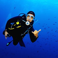 The Q Divers - Owner, Dive Master & Guide Victor V Ramos