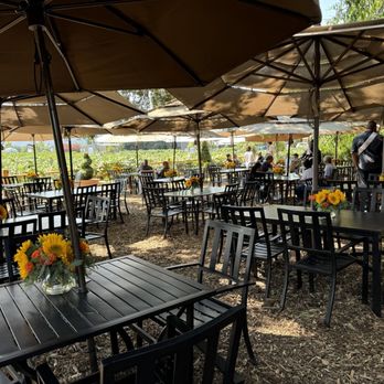 V Sattui Winery - Wineries Near Me - Saint Helena, California