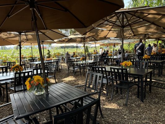 V. Sattui Winery by null