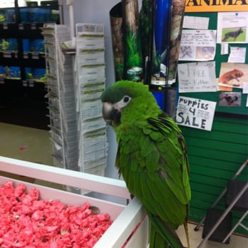 Pet Supplies Plus Mansfield Grooming - Pet Stores Near Me - Mansfield, Ohio