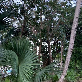 Hotel Riu Tequila - Hotels Near Me - Playa del Carmen, ROO