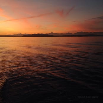 Alki Beach Park - A lovely sunset and view! - Parks Near Me - Seattle, Washington