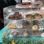 Photo of Ocean Side Bakery