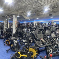 Fitness Showrooms - Equipment