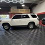 Nova Tint