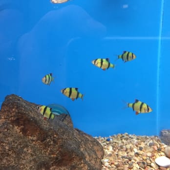 PetSmart - Pet Stores Near Me - Metairie, Louisiana