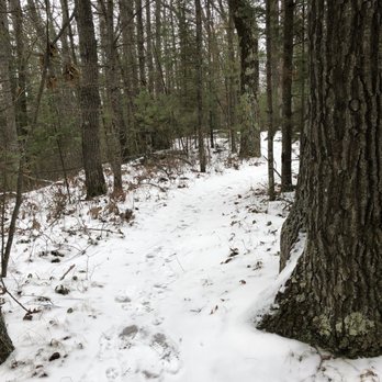 lost twin lakes pathway - Parks Near Me - Houghton Lake, Michigan