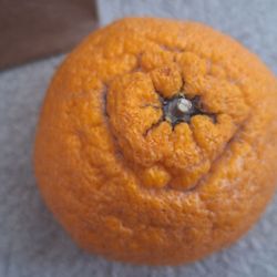 Hannam Chain - Sumo dekopon mandarin from produce section