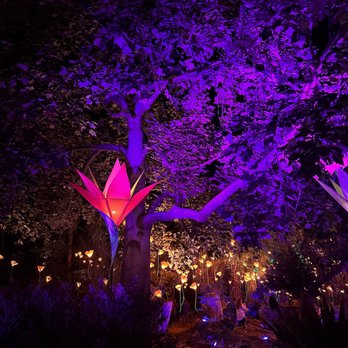 Lightscape San Diego - Botanical Gardens Near Me - Encinitas, California Lightscape San Diego - Botanical Gardens Near Me - Encinitas, California