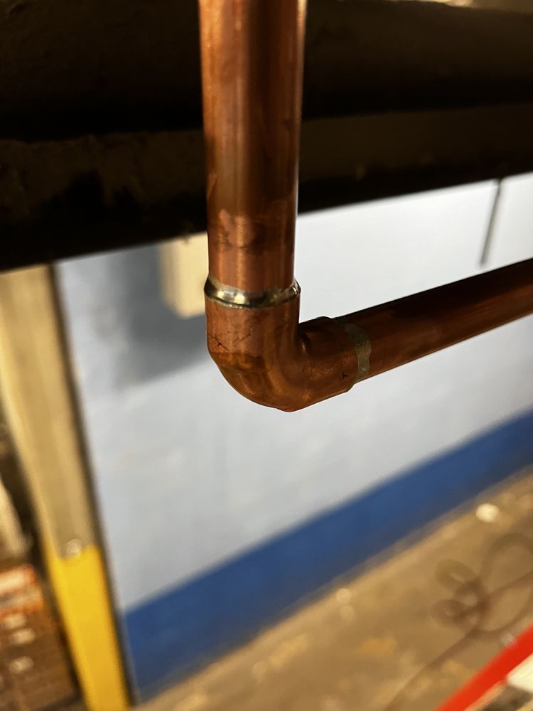 Slide of Arkansas Rooter