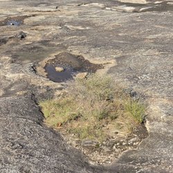 Davidson-Arabia Nature Preserve