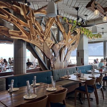 Monkeypod Kitchen - Beautiful inside. - Tacos Near Me - Honolulu, Hawaii
