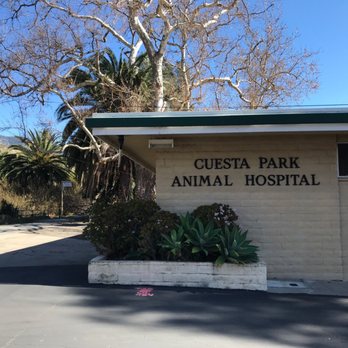 Cuesta Park Animal Hospital 16 Photos 28 Reviews Veterinarians 2404 Loomis St San Luis Obispo Ca Phone Number