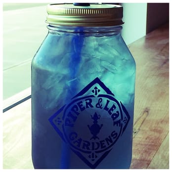 Piper and Leaf Tea - Coffee & Tea Near Me - Madison, Alabama