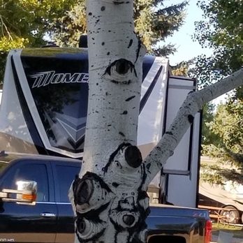 Buffalo KOA - The eyes are upon you....watch out!@! - RV Parks Near Me - Buffalo, Wyoming