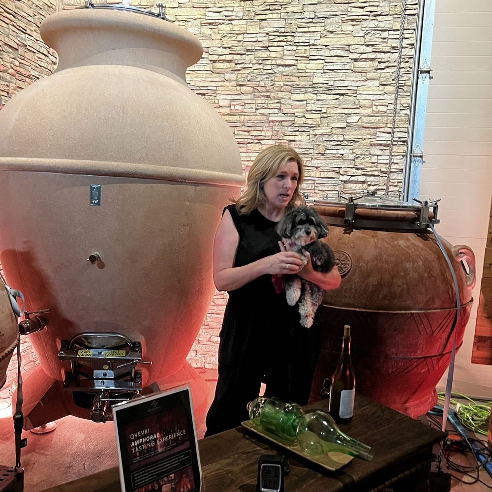 Somerset Vineyard and Winery - Taking our 3:30 tour with Leisha - Wineries Near Me - Temecula, California Somerset Vineyard and Winery - Taking our 3:30 tour with Leisha - Wineries Near Me - Temecula, California