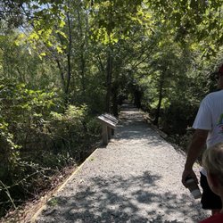 Wetlands trail
