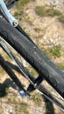 Grand Traverse Bike Tours by null