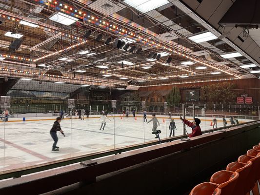 Snoopy's Home Ice by null