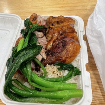 Hong Kong Eatery - double meat plate (duck and roast pork) - Seafood Near Me - Boston, Massachusetts