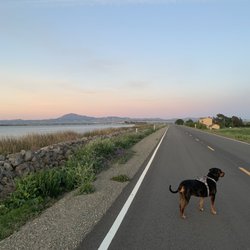 Eddo's Harbor & Rv Park - View from the levee road