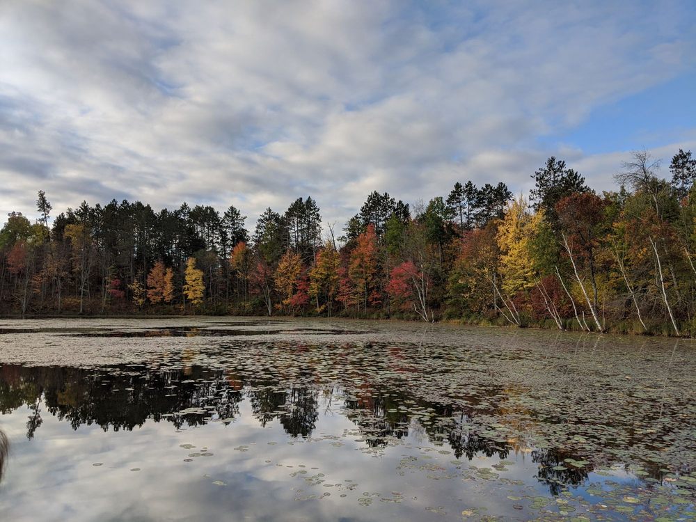 HEARTWOOD RESORT Updated September 2024 66 Photos & 20 Reviews