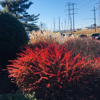 Crossings at One - Apartments Near Me - Fords, New Jersey