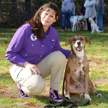 Lisa's K-9 Kids - Pet Training Near Me - Arlington, Texas Lisa's K-9 Kids - Pet Training Near Me - Arlington, Texas