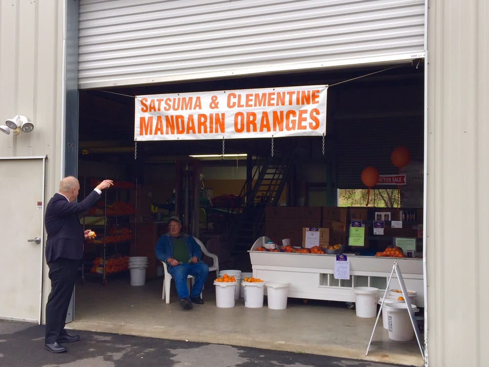 MILLER’S CITRUS GROVE Updated September 2024 6609 English Colony