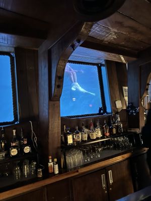 The Wreck Bar by null