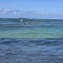 Ty Gurney Surf School
