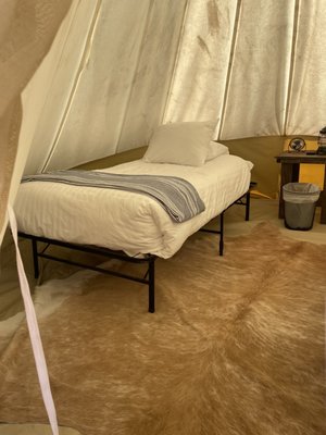 Under Canvas Mount Rushmore by null