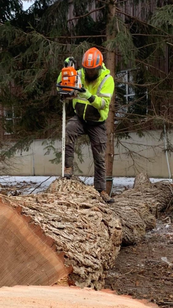 Screaming Timber Arbor Care - tree service in Holland, MI