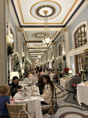 Willard Peacock Alley Tea by null