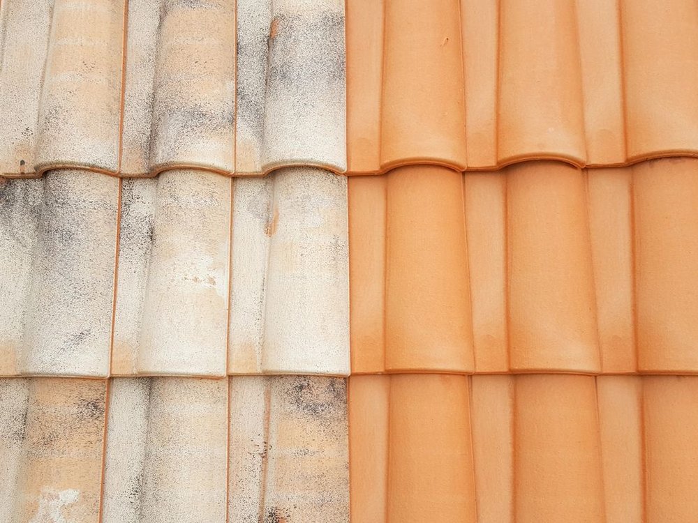 Slide of Red Horse Consulting Group