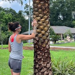 Big Daddy’s Palm Trees - First phase of the staining process!