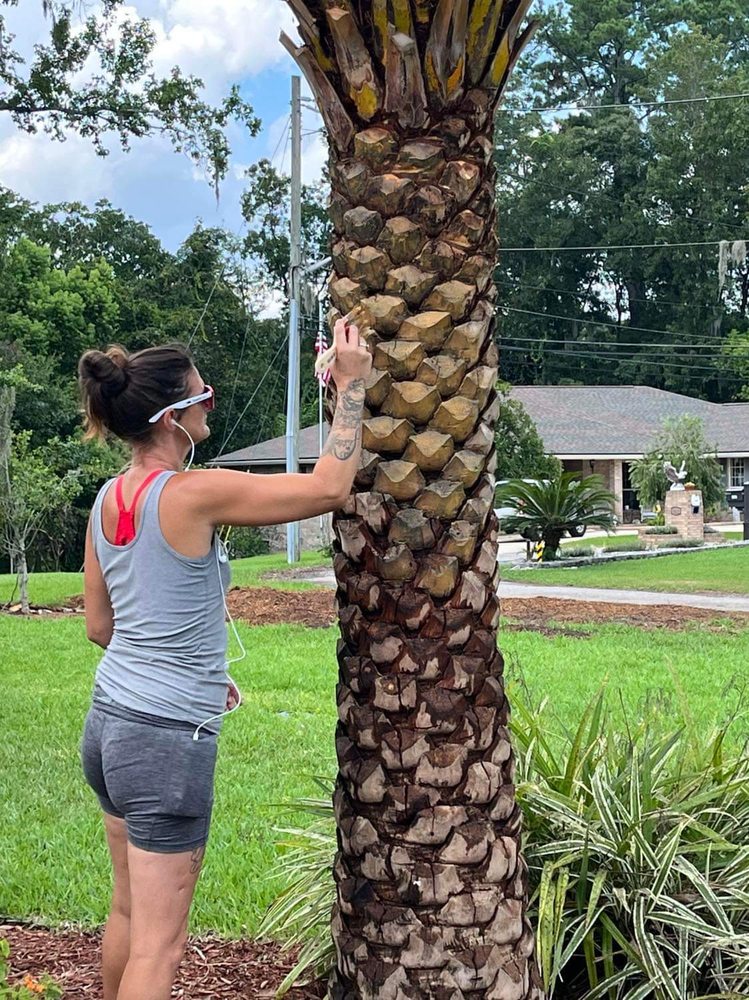 Big Daddy’s Palm Trees - tree service in Jacksonville, FL