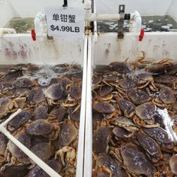 Barclay Seafood